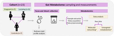 The gut metabolome in a cohort of pregnant and lactating women from Antioquia-Colombia